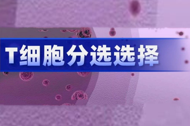 T细胞分离阴选、阳选区别有多大？