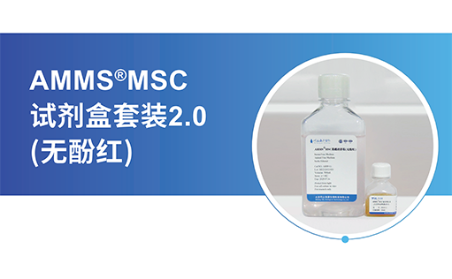 hUMSCs是个“宝”，扩增宝库全靠-AMMS®MSC无血清培养试剂盒