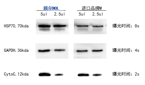尊凯实业官网产品推荐：膜尔新材0.45μmPVDF膜—实验数据