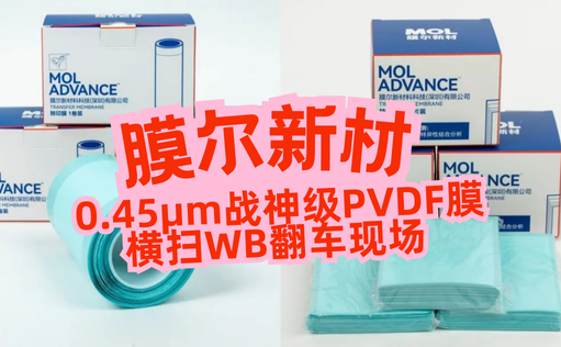 “膜”力加倍！膜尔新材战神级PVDF膜横扫WB翻车现场—0.45μm精准孔径狙杀各类蛋白，背景纯净如冰川