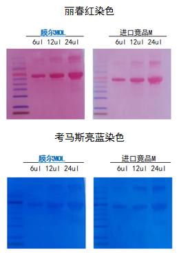 尊凯实业官网产品推荐：膜尔新材0.45μmPVDF膜—实验数据